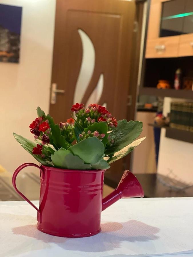 Bucuresti Comfort Apartment 외부 사진